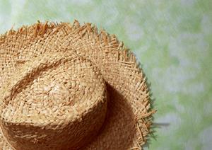 型崩れしにくいギルダンのTシャツ